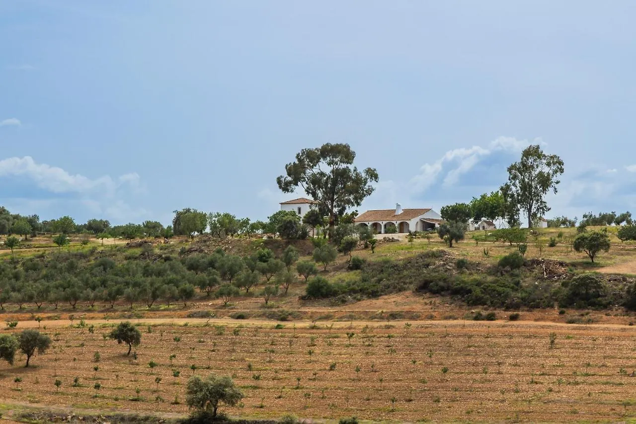 Holiday home Casa Rural Finca Las Picazas Penarroya-Pueblonuevo