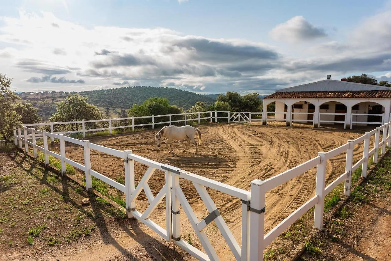 Casa Rural Finca Las Picazas Penarroya-Pueblonuevo Holiday home