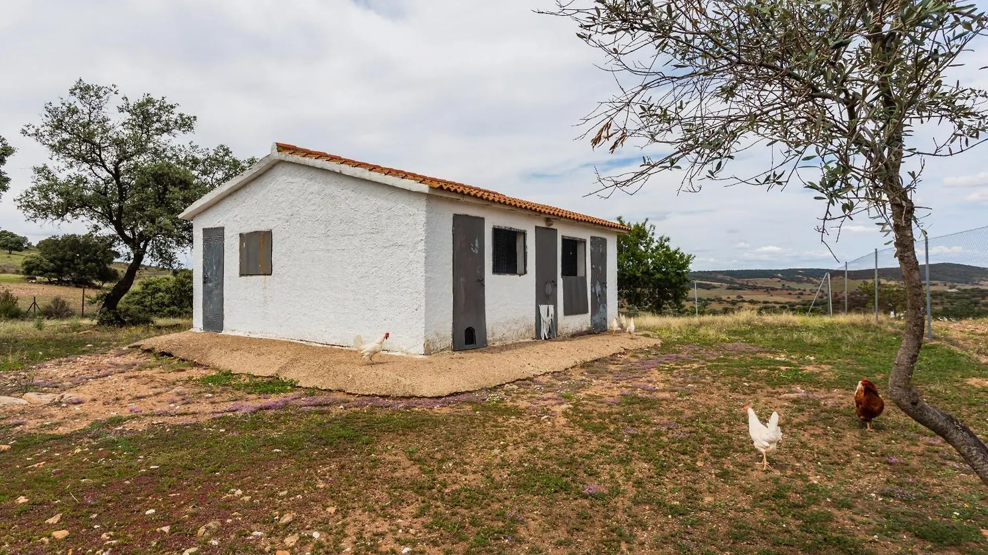 Casa Rural Finca Las Picazas Penarroya-Pueblonuevo Holiday home