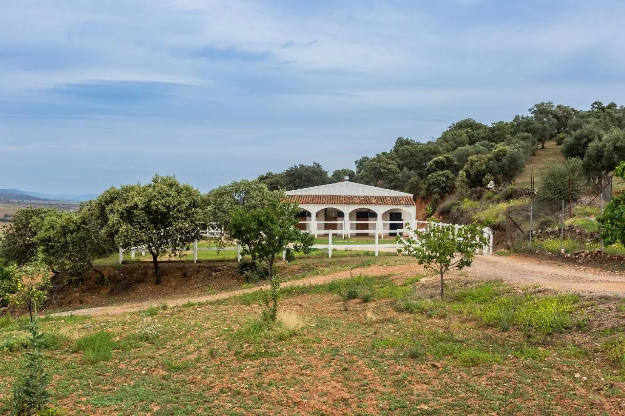 Casa Rural Finca Las Picazas Penarroya-Pueblonuevo Holiday home